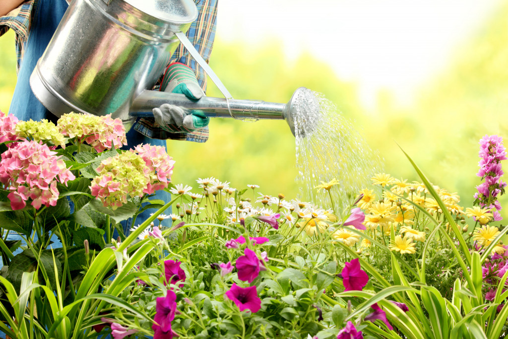 person watering plants