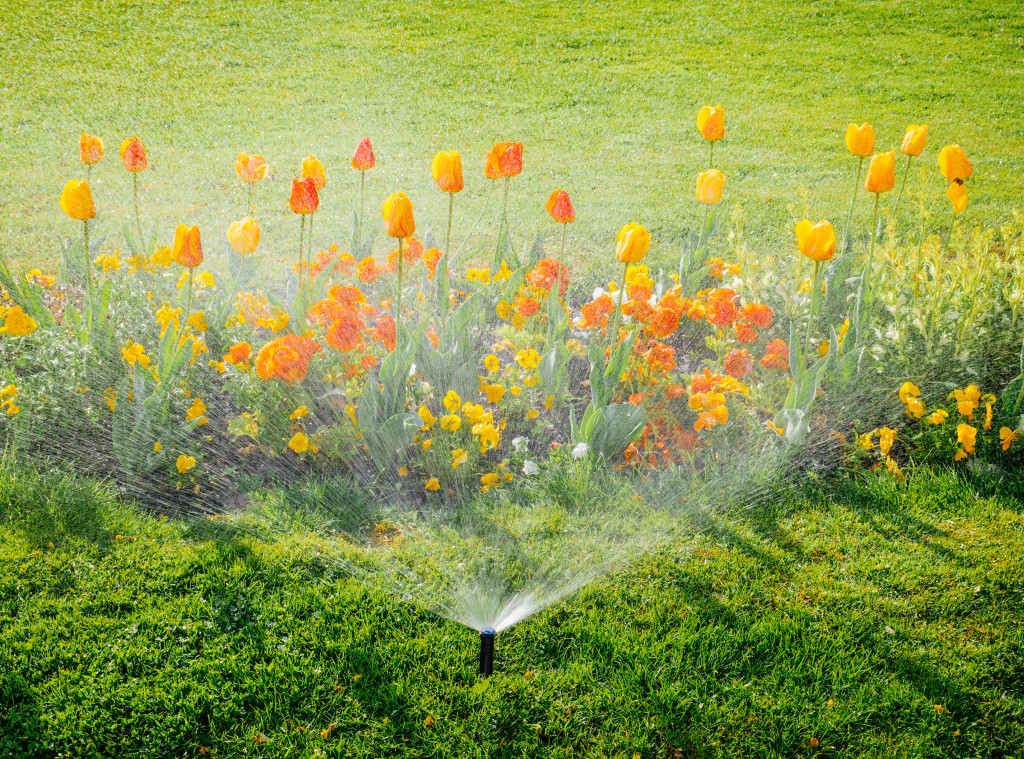 Flowers at a garden with a water sprinkler