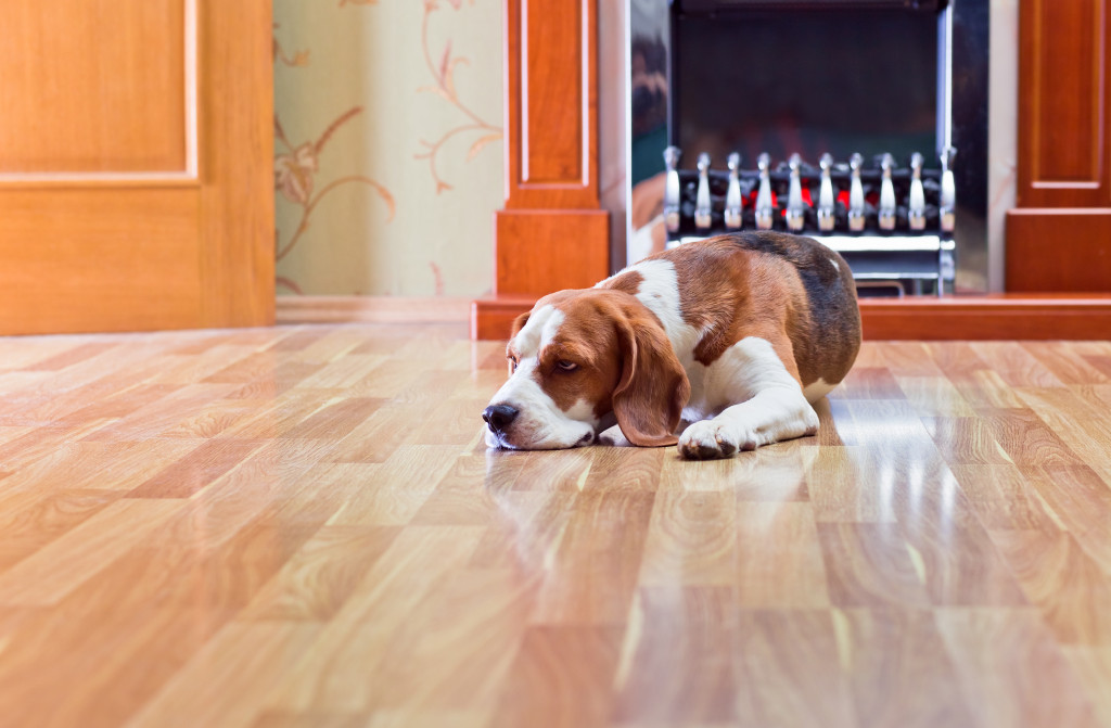 a beagle dog by the fireplace