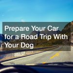 prepare your car for a road trip