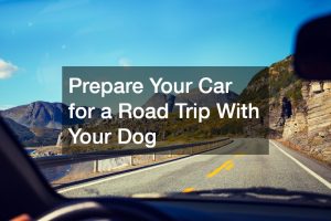 prepare your car for a road trip